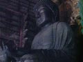 nara_20