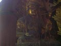 nara_29