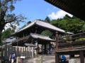 nara_35