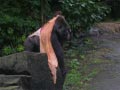 ueno_zoo_24