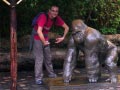 ueno_zoo_26