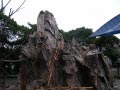 ueno_zoo_38