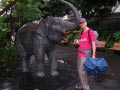ueno_zoo_40