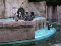 ueno_zoo_47