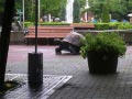 ueno_zoo_56