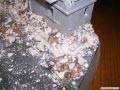 wip_ms09_dom_diorama_64