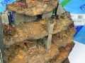 wip_ms09_dom_diorama_85